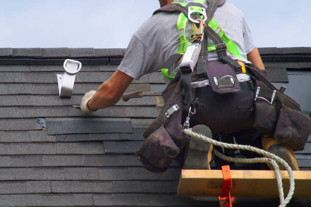 Best Roof Gutter Cleaning  in Greenville, FL