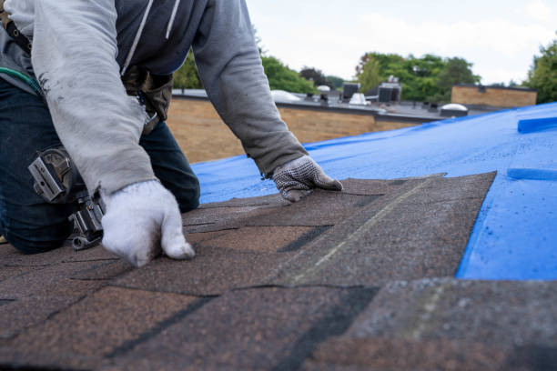 Best Storm Damage Roof Repair  in Greenville, FL